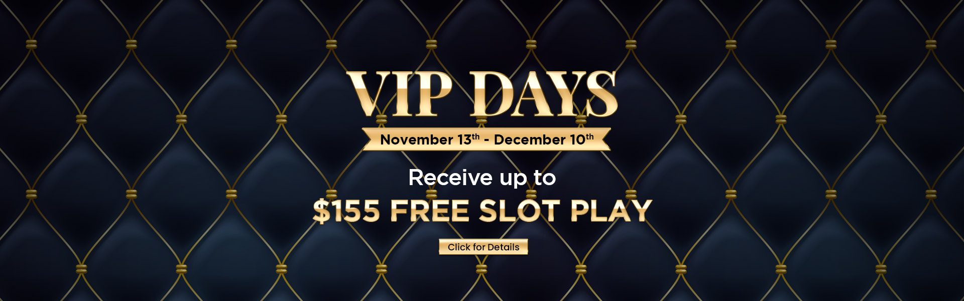 VIP-Days-Home-Page-Banner